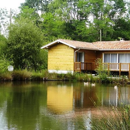 Chalet " Cote Lac " Castets Zewnętrze zdjęcie